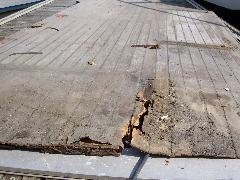 contreplaque-teck-pouris-4.jpg