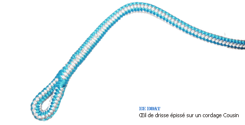 epissure-drise.gif
